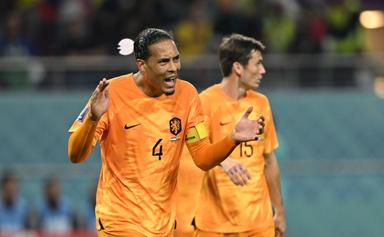 The Netherlands defeated Hungary with