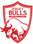 Jersey Bulls